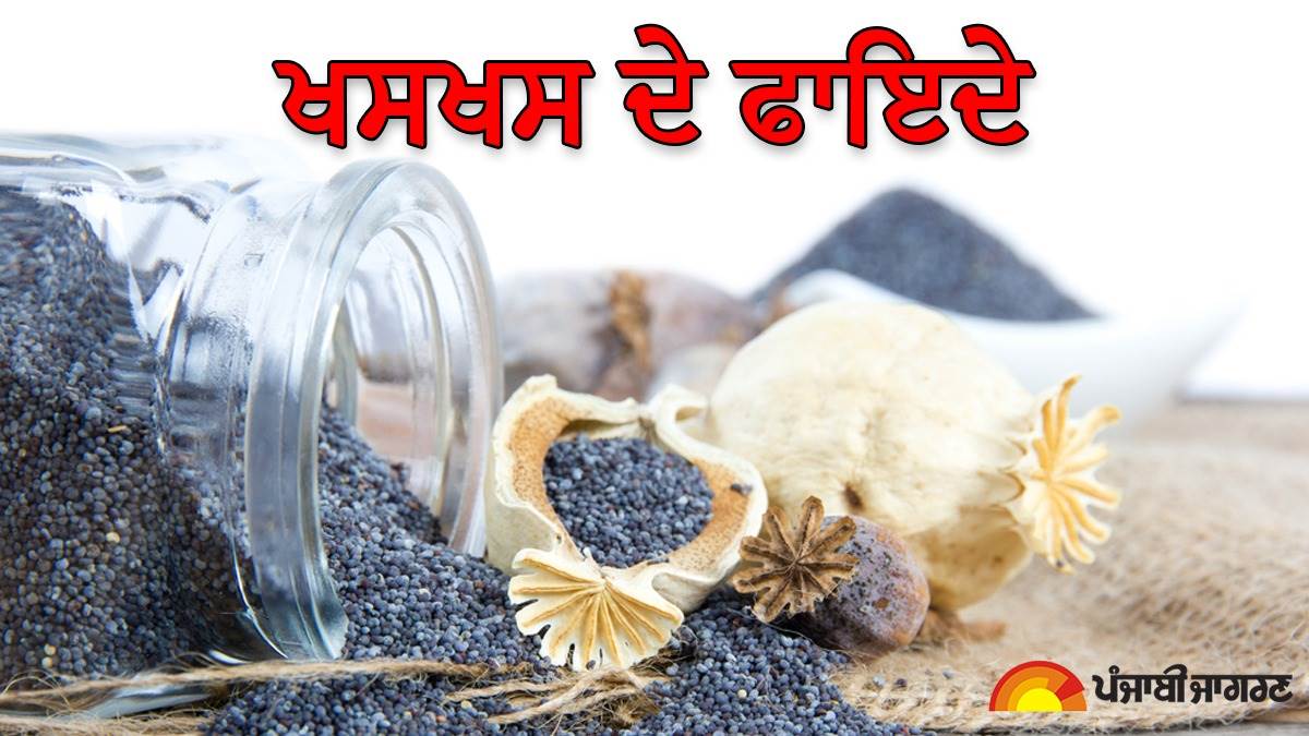 Benefits of Poppy Seeds ਹਾਜ਼ਮਾ ਦਰੁਸਤ ਕਰਨ ਤੋਂ ਲੈ ਕੇ ਬਿਹਤਰ ਨੀਂਦ ਆਉਣ ਤਕ