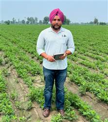 ਮੂੰਗਫਲੀ ਦੀ ਕਾਸ਼ਤ ਸਬੰਧੀ ਟ੍ਰੇਨਿੰਗ ਕੈਂਪ ਅੱਜ