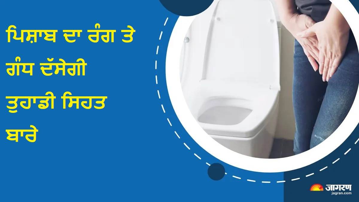 ਪਿਸ਼ਾਬ ਦਾ ਰੰਗ ਤੇ ਬਦਬੂ ਦੱਸੇਗੀ ਤੁਹਾਡੀ ਸਿਹਤ ਬਾਰੇ; ਇਨ੍ਹਾਂ 8 ਬਦਲਾਵਾਂ ਨੂੰ ਨਾ ਕਰੋ ਨਜ਼ਰਅੰਦਾਜ਼
