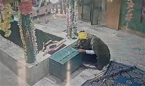 ਜਾਹਰਾ ਪੀਰ ਦਰਬਾਰ ਤੋਂ ਚੋਰਾਂ ਨੇ ਗੋਲਕ ਤੋੜ ਕੇ ਉਡਾਈ ਨਕਦੀ