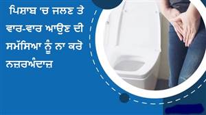 ਸਿਹਤ ਸੁਝਾਅ: ਪਿਸ਼ਾਬ ਕਰਦੇ ਸਮੇਂ ਦਰਦ ਜਾਂ ਜਲਣ ਹੋਣ 'ਤੇ ਅਪਣਾਓ ਇਹ ਖ਼ਾਸ ਉਪਾਅ, ਸਮੇਂ ਸਿਰ ਜਾਂਚ ਹੈ ਬਹੁਤ ਜ਼ਰੂਰੀ