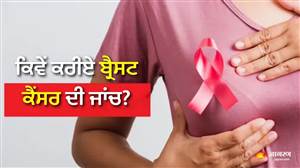 ਪੀਰੀਅਡਜ਼ ਖ਼ਤਮ ਹੋਣ ਦੇ 3 ਦਿਨ ਬਾਅਦ ਜ਼ਰੂਰ ਕਰੋ ਬ੍ਰੈਸਟ ਸੈਲਫ਼ ਇੰਸਪੈਕਸ਼ਨ, ਸਿਰਫ਼ 5 ਮਿੰਟ ’ਚ ਕਰ ਸਕਦੇ ਹੋ ਇਹ ਆਸਾਨ ਟੈਸਟ