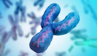 ਸਾਵਧਾਨ ਮਰਦੋ! ਸਰੀਰ ’ਚੋਂ 'Y ਕ੍ਰੋਮੋਸੋਮ' ਦਾ ਘਟਣਾ ਬਣ ਸਕਦੈ ਗੰਭੀਰ ਬਿਮਾਰੀਆਂ ਦਾ ਕਾਰਨ, ਜਾਣੋ ਕਾਰਨ