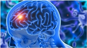 Brain Tumor Symptoms : ਬ੍ਰੇਨ ਟਿਊਮਰ ਹੋਣ 'ਤੇ ਦਿਸਦੇ ਹਨ ਇਹ ਗੰਭੀਰ ਲੱਛਣ, ਆਮ ਸਮਝ ਕੇ ਨਾ ਕਰਿਓ ਇਗਨੋਰ