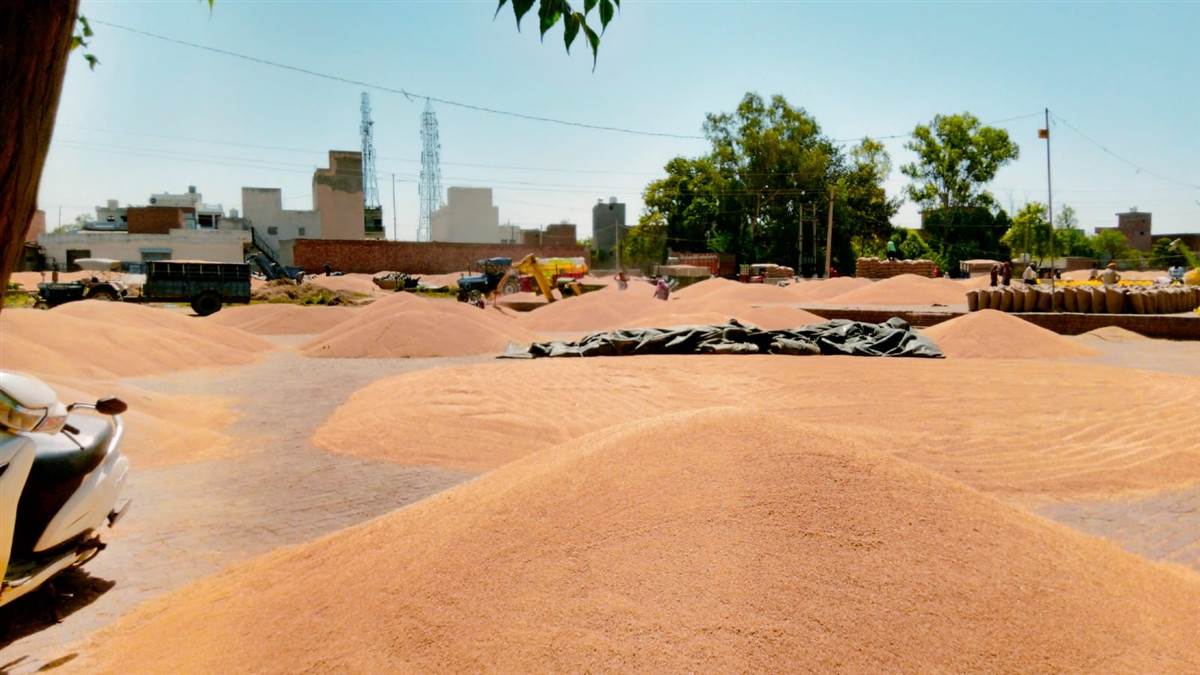 ਮੰਡੀਆਂ ’ਚ ਲੱਗੇ ਕਣਕ ਦੇ ਅੰਬਾਰ, ਵਿਕਣ ਦਾ ਇੰਤਜ਼ਾਰ