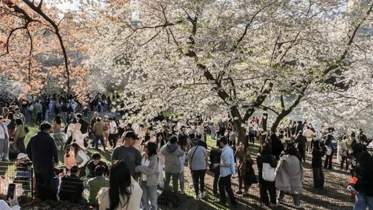 ਅਮਰੀਕਾ ’ਚ ਇਸ ਵਾਰ ਗਰਮੀ ਸਾਰੇ ਰਿਕਾਰਡ ਤੋੜੇਗੀ, 600 ਥਾਵਾਂ 'ਤੇ ਦਿਖੇਗਾ ਅਸਰ; 16 ਕਰੋੜ ਲੋਕ ਹੋਣਗੇ ਪ੍ਰਭਾਵਿਤ