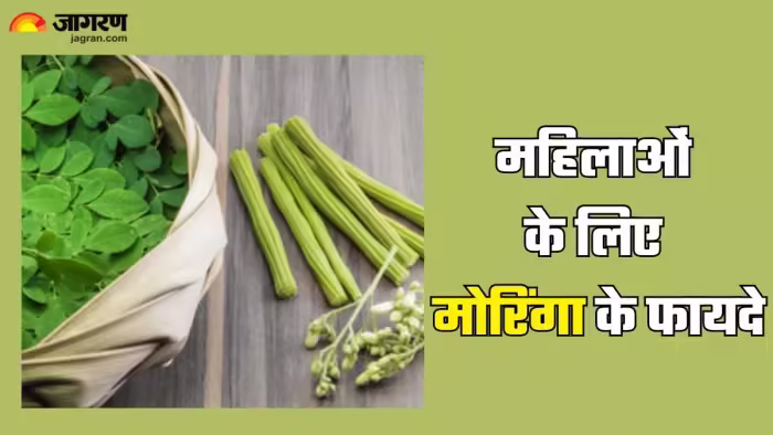 Moringa Benefits : ਔਰਤਾਂ ਲਈ ਵਰਦਾਨ ਤੋਂ ਘੱਟ ਨਹੀਂ Moringa, ਸਿਹਤ ਤੋਂ ਲੈ ਕੇ ਸਕਿਨ ਤਕ ਲਈ ਹੈ ਗੁਣਕਾਰੀ