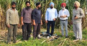 ਗੰਨੇ ਦੀ ਪੈਦਾਵਾਰ ਵਧਾਉਣ ਲਈ ਨਵੀਨਤਮ ਤਕਨੀਕਾਂ ਅਪਣਾਉਣ ਦੀ ਲੋੜ : ਕੇਨ ਕਮਿਸ਼ਨਰ