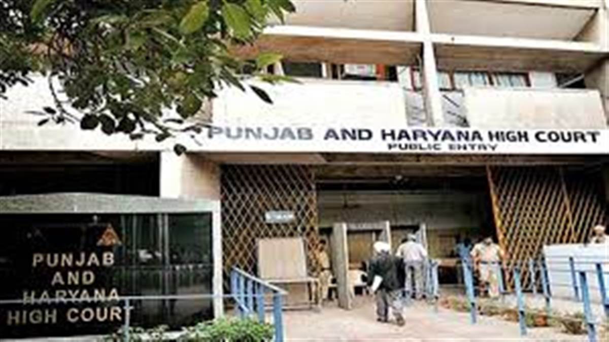 ਡੰਕੀ ਰੂਟ ਤੋਂ ਨੌਜਵਾਨ ਨੂੰ ਰੂਸ ਭੇਜਣ ਦੇ ਦੋਸ਼ਾਂ ਨੂੰ ਅਗਾਊਂ ਜ਼ਮਾਨਤ ਤੋਂ ਇਨਕਾਰ, HC ਨੇ ਕਿਹਾ- ਪੈਸੇ ਠੱਗੇ ਜਾ ਰਹੇ ਹਨ ਤੇ ਪਰੇਸ਼ਾਨ ਕੀਤਾ ਜਾ ਰਿਹੈ