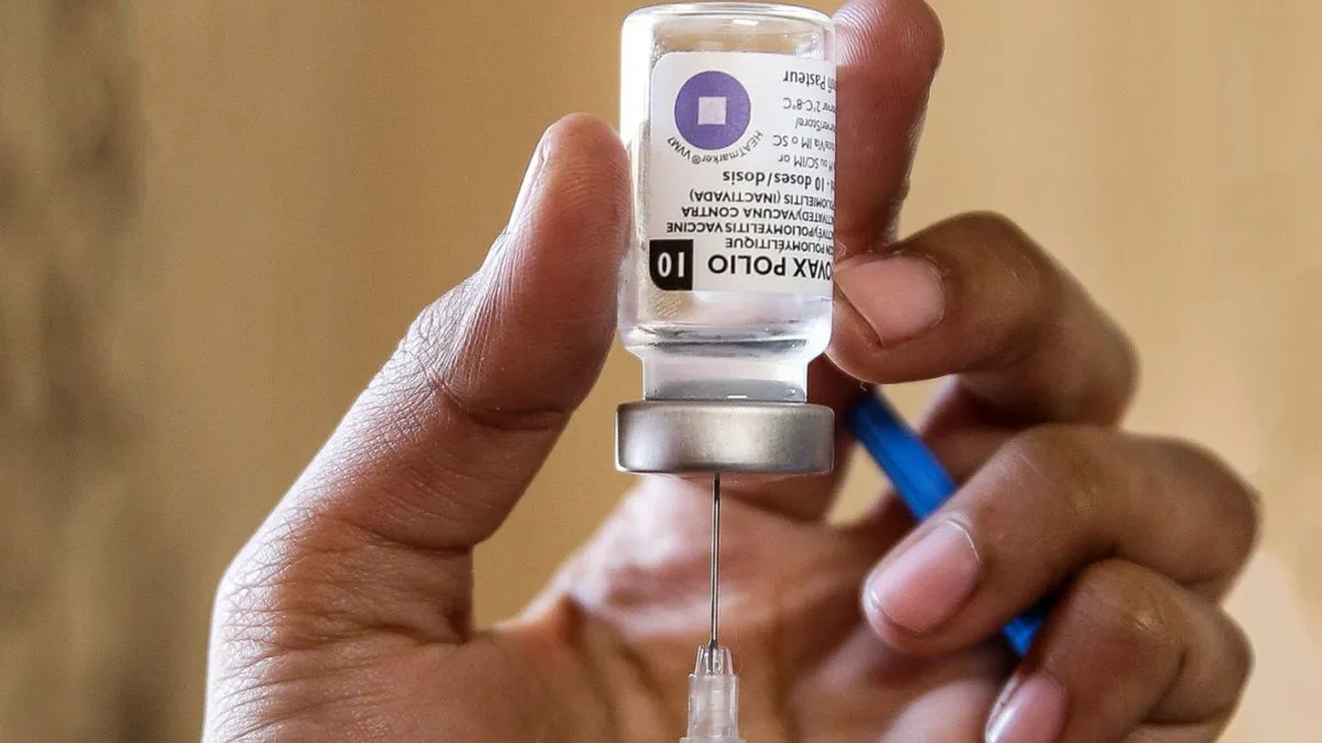 ਜਰਮਨੀ 'ਚ ਪੋਲੀਓ ਦਾ ਜੰਗਲੀ ਰੂਪ, ਹੈਮਬਰਗ 'ਚ ਮਿਲਿਆ ਖ਼ਤਰਨਾਕ ਵਾਇਰਸ; ਇਨ੍ਹਾਂ ਲੋਕਾਂ ਲਈ ਖ਼ਤਰਾ