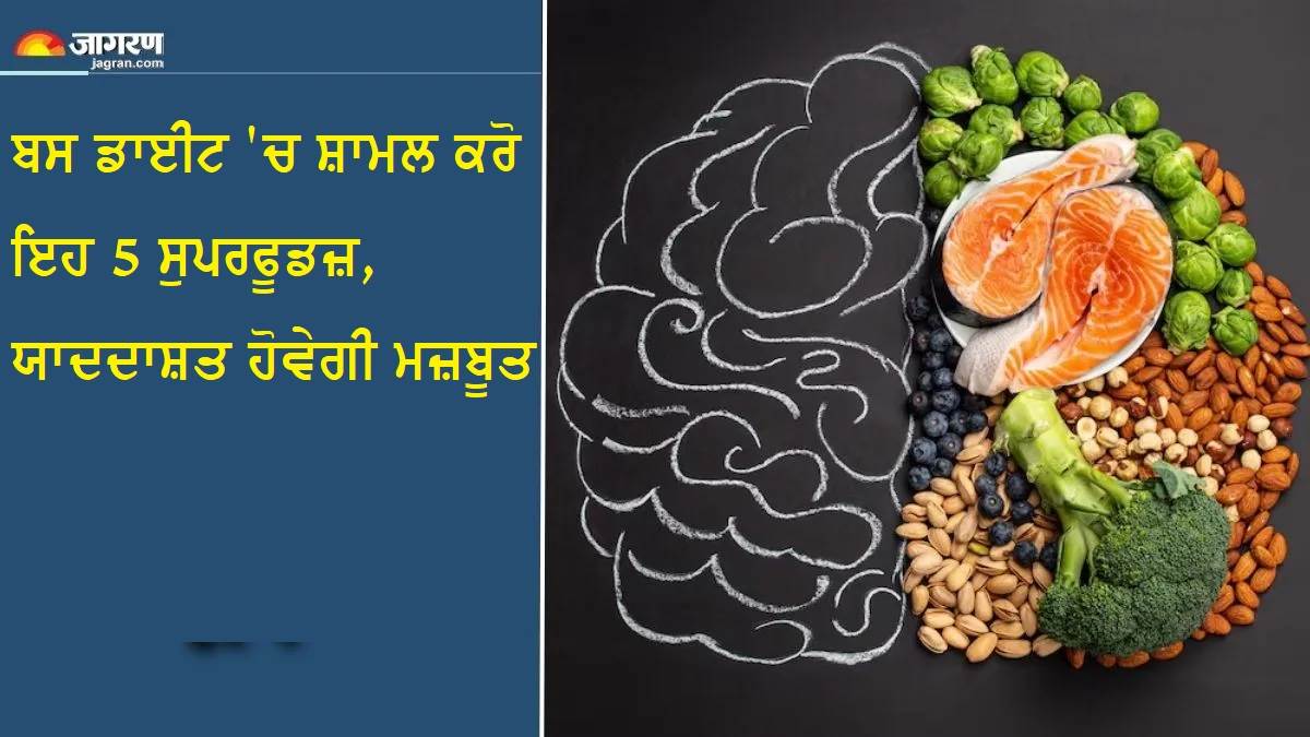 ਭੁੱਲ ਜਾਂਦੇ ਹੋ ਸਭ ਕੁਝ ਤਾਂ ਕੰਪਿਊਟਰ ਵਾਂਗ ਤੇਜ਼ ਕਰੋ ਦਿਮਾਗ ? ਬਸ ਡਾਈਟ 'ਚ ਸ਼ਾਮਲ ਕਰੋ ਇਹ 5 ਸੁਪਰਫੂਡਜ਼, ਯਾਦਦਾਸ਼ਤ ਹੋਵੇਗੀ ਮਜ਼ਬੂਤ