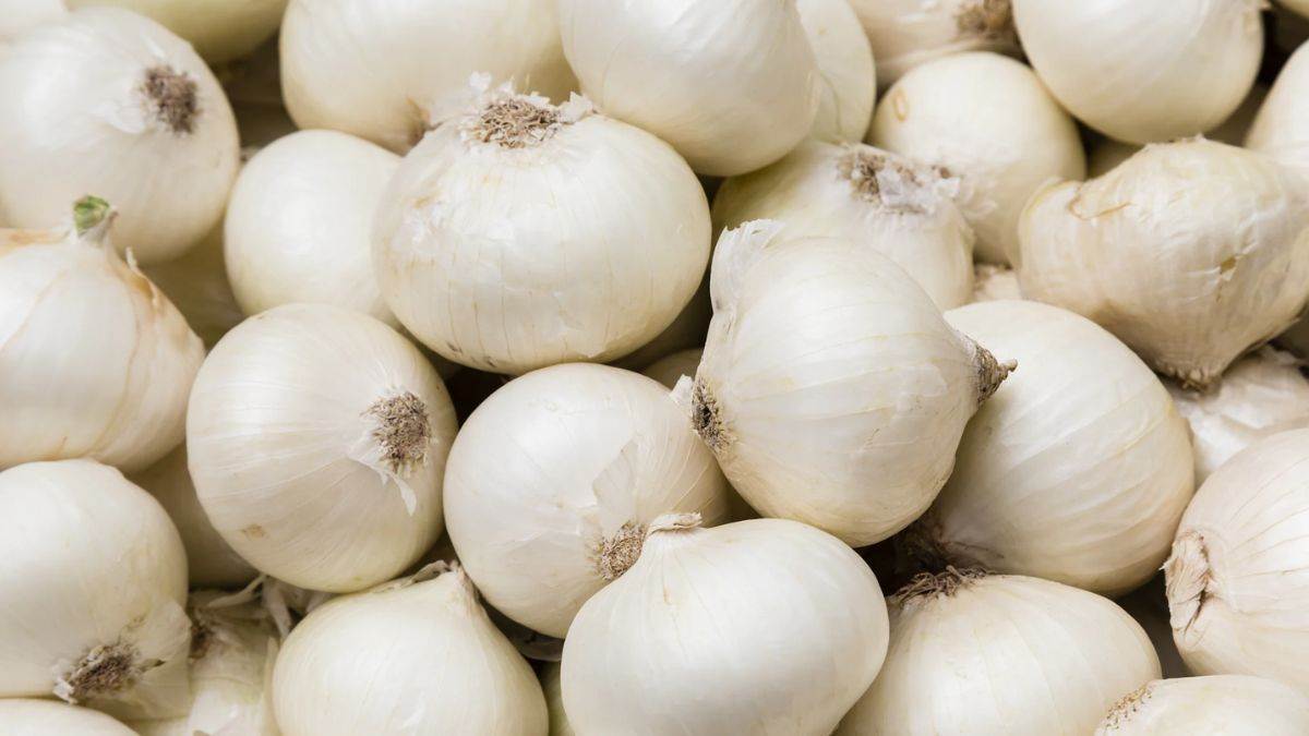 White Onion Benefits : ਅੱਖਾਂ ਦੀ ਰੋਸ਼ਨੀ ਵਧਾਉਂਦਾ ਹੈ ਚਿੱਟੇ ਪਿਆਜ਼ ਦਾ ਰਸ, ਪਰ