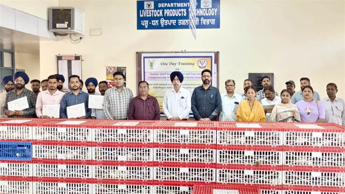 ਉੱਦਮੀ ਹੁਨਰ ਦੀ ਮਜ਼ਬੂਤੀ ਲਈ ਕਰਵਾਇਆ ਸਿਖਲਾਈ ਪ੍ਰੋਗਰਾਮ