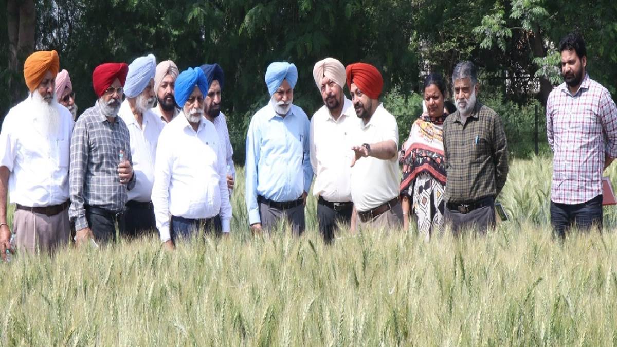 ਕੇਵੀਕੇ ਰੋਣੀ ਵਿਖੇ ਕਿਸਾਨ ਮੇਲਾ ਕਰਵਾਇਆ