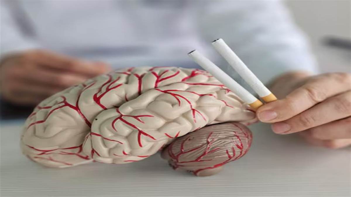 ਸਿਗਰਟ ਦਾ ਧੂੰਆਂ ਸਿਰਫ਼ ਫੇਫੜੇ ਹੀ ਨਹੀਂ, ਤੁਹਾਡੀ ਮਾਨਸਿਕ ਸਮਰੱਥਾ ਨੂੰ ਵੀ ਕਰ ਰਿਹਾ ਹੈ ਬਰਬਾਦ; ਡਾਕਟਰਾਂ ਨੇ ਦਿੱਤੀ ਚਿਤਾਵਨੀ