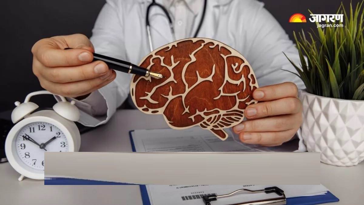 ਵਧਦੀ ਉਮਰ 'ਚ ਜੇ ਥੱਕਣ ਲੱਗਿਆ ਹੈ ਤੁਹਾਡਾ ਦਿਮਾਗ, ਤਾਂ 'ਬ੍ਰੇਨ ਹੈਲਥ' ਨੂੰ ਬਿਹਤਰ ਬਣਾਉਣ ਲਈ ਇਹਨਾਂ ਟਿਪਸ ਦੀ ਪਾਲਣਾ ਕਰੋ
