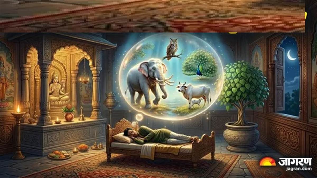 ਕੀ ਤੁਹਾਨੂੰ ਵੀ ਸੁਪਨੇ 'ਚ ਦਿਖਾਈ ਦਿੱਤਾ ਹੈ ਹਾਥੀ ਜਾਂ ਚਿੱਟੀ ਗਾਂ? ਜਾਣੋ ਕੀ ਹੋ ਸਕਦਾ ਹੈ ਇਸ ਦਾ ਅਰਥ