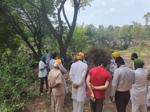 137 ਏਕੜ 'ਚ ਜੰਗਲ ਦੀ ਕਟਾਈ ਤੋਂ ਭੜਕੇ ਵਾਤਾਵਰਨ ਪੇ੍ਮੀ