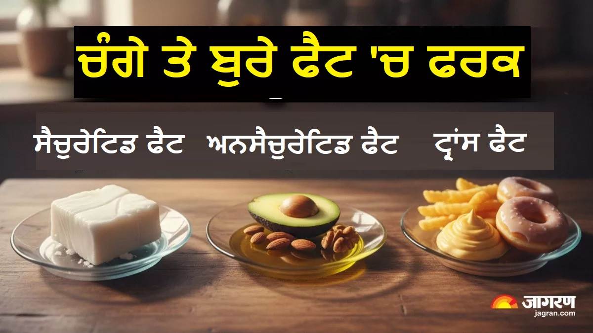 ਸੈਚੁਰੇਟਿਡ, ਅਨਸੈਚੂਰੇਟਿਡ ਤੇ ਟ੍ਰਾਂਸ ਫੈਟ 'ਚ ਕੀ ਹੁੰਦੈ ਫ਼ਰਕ ? ਗ਼ਲਤ ਜਾਣਕਾਰੀ ਵਿਗਾੜ ਸਕਦੀ ਹੈ ਤੁਹਾਡੀ ਸਿਹਤ