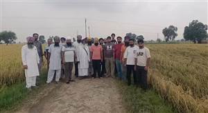 ਘਰਿਆਲਾ ’ਚ ਭਾਰੀ ਗੜੇਮਾਰੀ ਕਾਰਨ ਝੋਨੇ ਦੀ ਫ਼ਸਲ ਦਾ ਭਾਰੀ ਨੁਕਸਾਨ