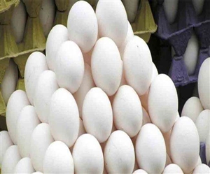 Egg Price : ਤਿੰਨ ਮਹੀਨਿਆਂ 'ਚ 100 ਰੁਪਏ ਵਧੇ ਆਂਡਿਆਂ ਦੇ ਰੇਟ, ਪੰਜਾਬ ਤੋਂ ਜੰਮੂ, ਸ਼੍ਰੀਨਗਰ ਤੇ ਬਿਹਾਰ ਤਕ ਸਪਲਾਈ