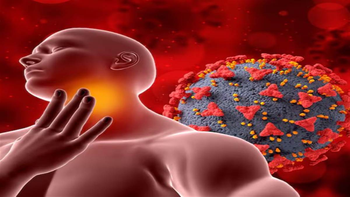 2025 'ਚ ਗੂਗਲ 'ਤੇ ਸਭ ਤੋਂ ਵੱਧ ਸਰਚ ਕੀਤਾ ਗਿਆ HMPV ਵਾਇਰਸ, ਆਸਾਨ ਭਾਸ਼ਾ 'ਚ ਸਮਝੋ ਇਸਦਾ A to Z