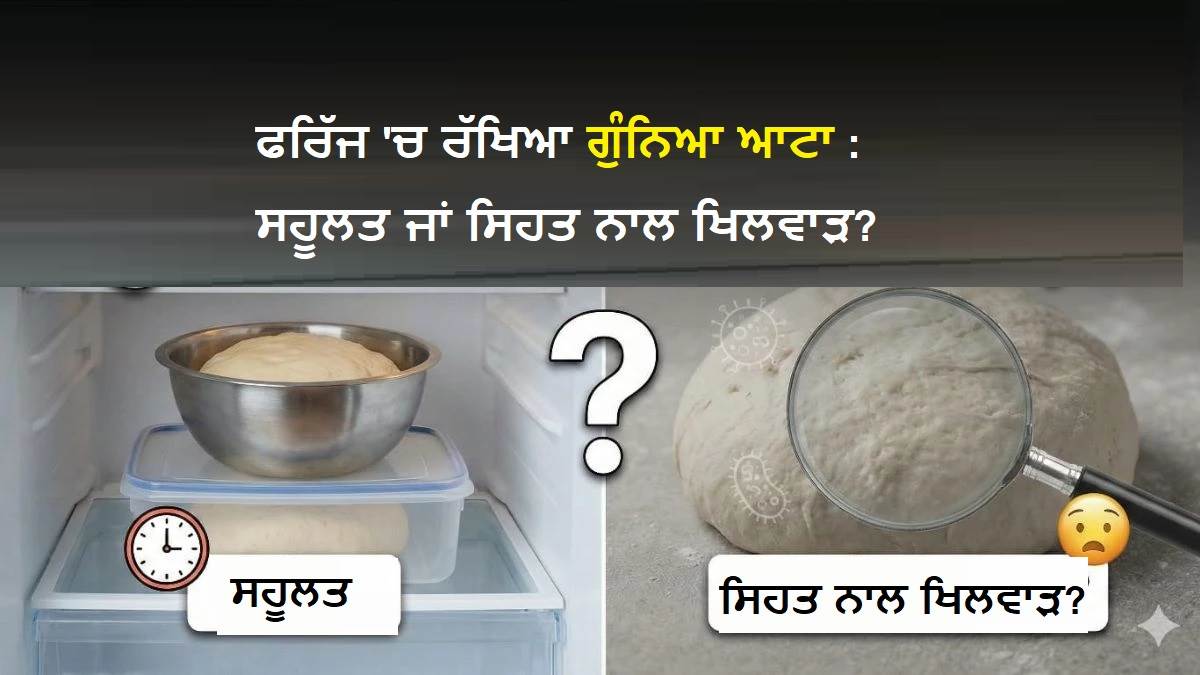 ਸਾਵਧਾਨ! ਕੀ ਫਰਿੱਜ 'ਚ ਰੱਖਿਆ ਆਟਾ ਤੁਹਾਨੂੰ ਬਿਮਾਰ ਕਰ ਰਿਹੈ? ਕਿੰਨੇ ਘੰਟਿਆਂ ਬਾਅਦ ਇਹ ਬਣ ਜਾਂਦੈ "Slow Poision"