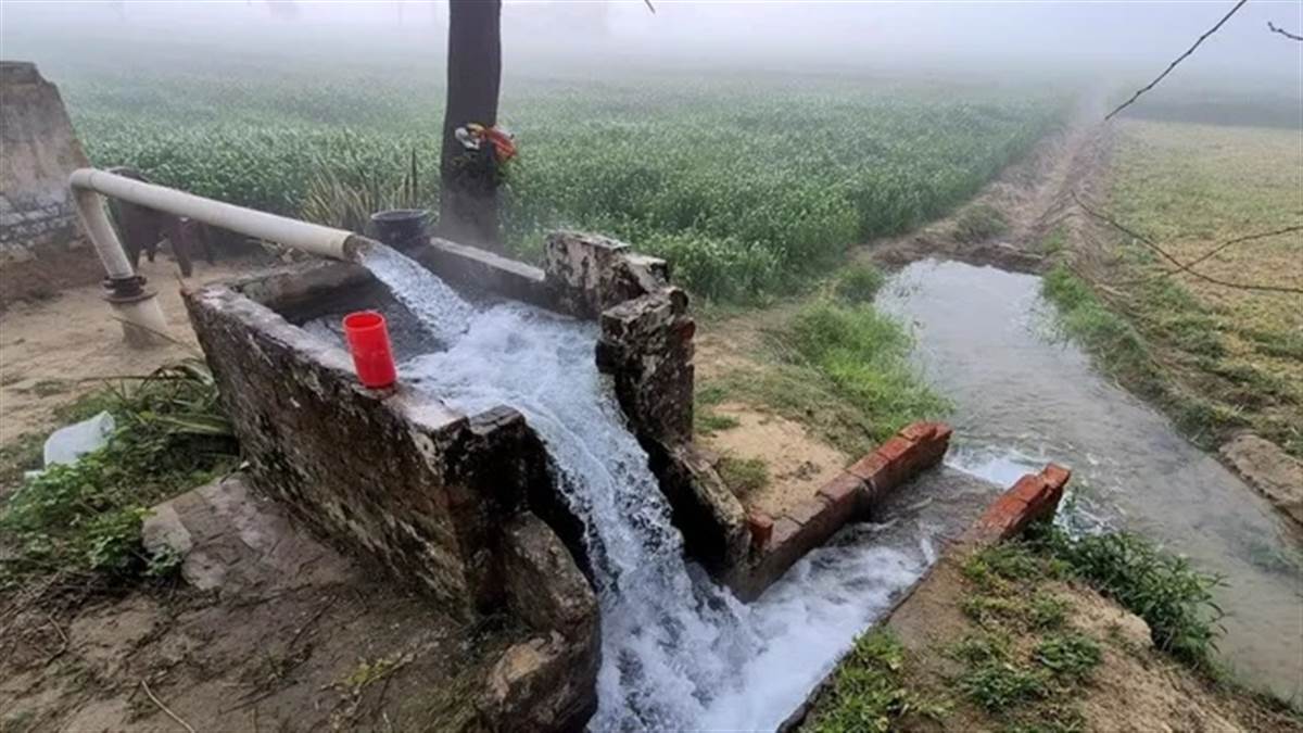 ਫ਼ਰਵਰੀ ’ਚ ਵਧਦਾ ਤਾਪਮਾਨ ਬਣਿਆ ਚਿੰਤਾ; ਕਣਕ ਬਚਾਉਣ ਲਈ ਕਿਸਾਨ ਕਰ ਰਹੇ ਸਿੰਚਾਈ, ਪੋਟਾਸ਼ੀਅਮ ਨਾਈਟ੍ਰੇਟ ਸਪਰੇਅ ਦੀ ਸਿਫ਼ਾਰਸ਼