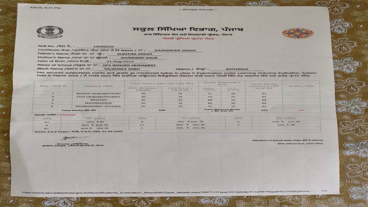 ਮਾਂ ਬੋਲੀ ਨੂੰ ਲੈ ਕੇ ਦਾਅਵੇ ਠੁੱਸ, ਸਰਟੀਫਿਕੇਟਾਂ ’ਚ ਸਿਰਫ ਅੰਗਰੇਜ਼ੀ ’ਚ ਲਿਖੇ ਨਾਂ; ਸੂਬੇ ’ਚ ਰਾਜ ਭਾਸ਼ਾ ਐਕਟ ਲਾਗੂ ਹੋਣ ਦੇ ਬਾਵਜੂਦ ਵੱਡੀ ਅਣਗਹਿਲੀ