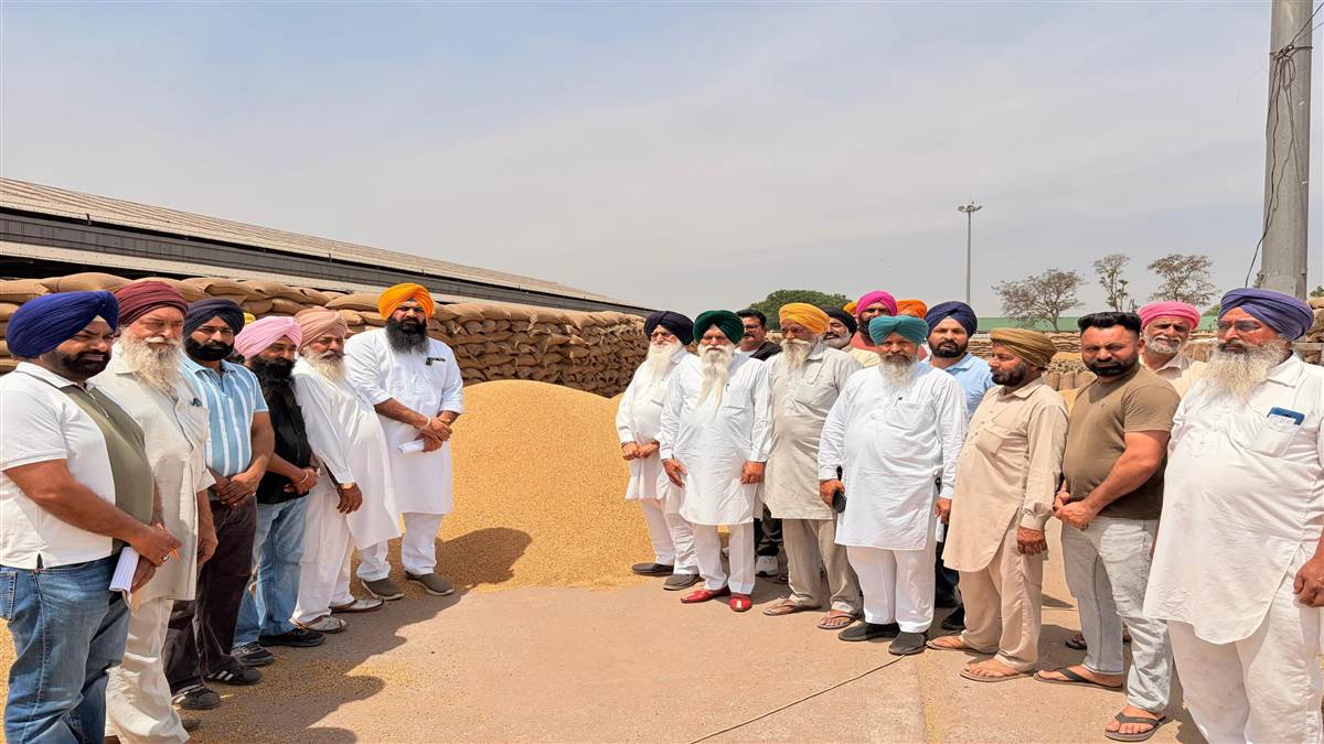 ਘਨੌਰ ਮੰਡੀ ‘ਚ ਕਣਕ ਦੀ ਢਿੱਲੀ ਲਿਫਟਿੰਗ, ਕਿਸਾਨਾਂ ਦਾ ਫੁੱਟਿਆ ਗੁੱਸਾ