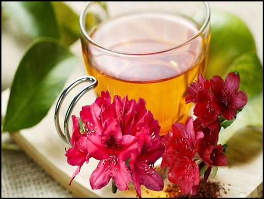 This unique tea will refresh you in summer  it is beneficial for the lungs