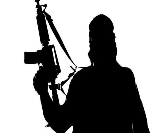 Lashkar module busted in Kashmir 7 terrorists arrested including a woman