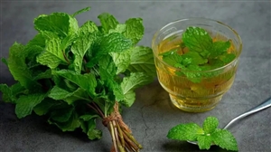 Mint Leaves Benefits: ਪਾਚਨ ਸ਼ਕਤੀ ਵਧਾਉਣ ਤੋਂ ਲੈ ਕੇ ਭਾਰ ਘਟਾਉਣ ਤਕ, ਜਾਣੋ ਪੁਦੀਨੇ ਦੀਆਂ ਪੱਤੀਆਂ ਦੇ ਅਣਗਿਣਤ ਫ਼ਾਇਦੇ