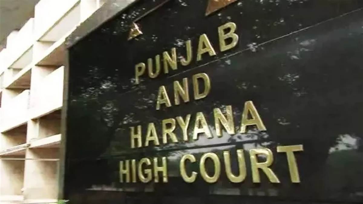 ਪੰਜਾਬ-ਹਰਿਆਣਾ ਹਾਈ ਕੋਰਟ ਦਾ ਵੱਡਾ ਫੈਸਲਾ: ਆਪਣੀ ਮਰਜ਼ੀ ਨਾਲ ਵਿਆਹ ਕਰਨਾ ਮੌਲਿਕ ਅਧਿਕਾਰ, ਕਿਸੇ 'ਤੇ ਨਹੀਂ ਪਾਇਆ ਜਾ ਸਕਦਾ ਦਬਾਅ