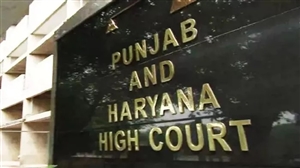 ਹਾਈ ਕੋਰਟ ਦਾ ਵੱਡਾ ਫੈਸਲਾ: ਡਾਕਟਰਾਂ ਨੂੰ ਅਦਾਲਤ 'ਚ ਤਲਬ ਕਰਨ ਤੋਂ ਪਹਿਲਾਂ ਮਾਹਿਰਾਂ ਦੀ ਰਾਇ ਲੈਣੀ ਲਾਜ਼ਮੀ