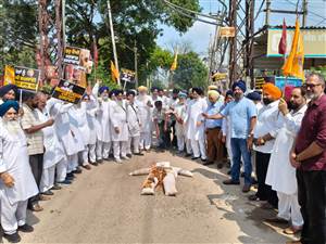ਸ੍ਰੋਮਣੀ ਅਕਾਲੀ ਦਾ ਬਿਜਲੀ ਕੱਟਾਂ ਨੂੰ ਲੈ ਕੇ ਜ਼ਿਲ੍ਹੇ ਭਰ ’ਚ ਰੋਸ ਪ੍ਰਦਰਸ਼ਨ