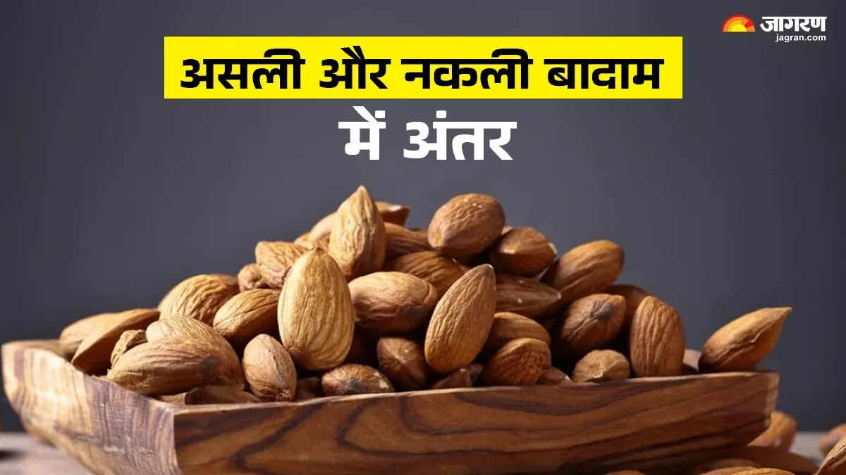 Fake Almonds ਸਾਵਧਾਨ! ਦੀਵਾਲੀ ਤੋਂ ਪਹਿਲਾਂ ਵਿਕ ਰਹੇ ਹਨ ਨਕਲੀ ਬਦਾਮ, ਇਨ੍ਹਾਂ 5 ਤਰੀਕਿਆਂ ਨਾਲ ...