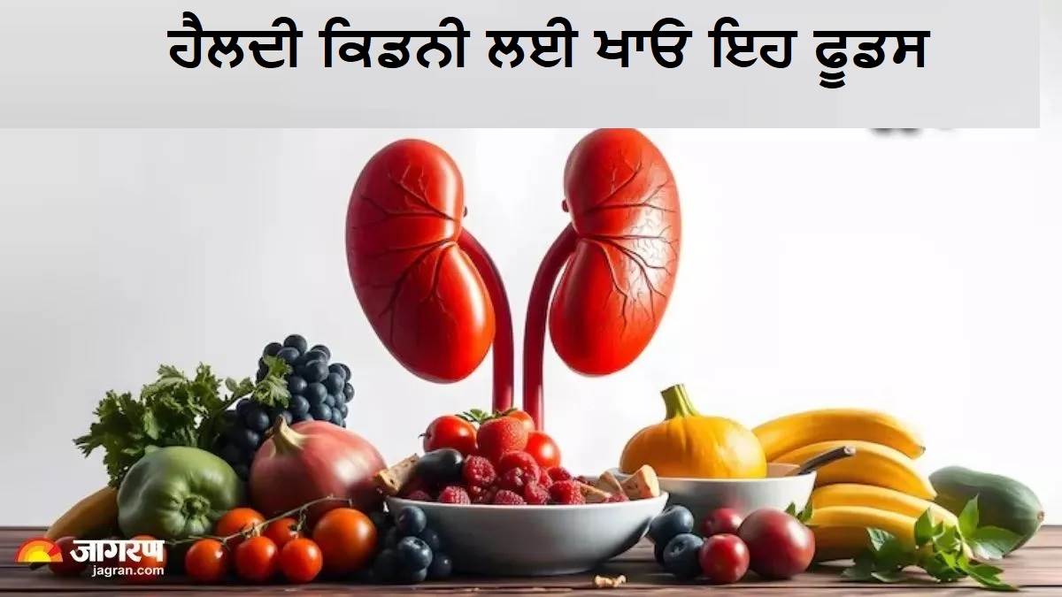 ਕਿਡਨੀ ਨੂੰ ਅੰਦਰੋਂ ਸਾਫ਼ ਕਰ ਦੇਣਗੇ ਇਹ 5 ਫੂਡਸ, ਅੱਜ ਹੀ ਕਰੋ ਡਾਈਟ 'ਚ ਸ਼ਾਮਲ; ਕਦੇ ਵੀ ਹੋਵੇਗੀ ਕੋਈ ਸਮੱਸਿਆ
