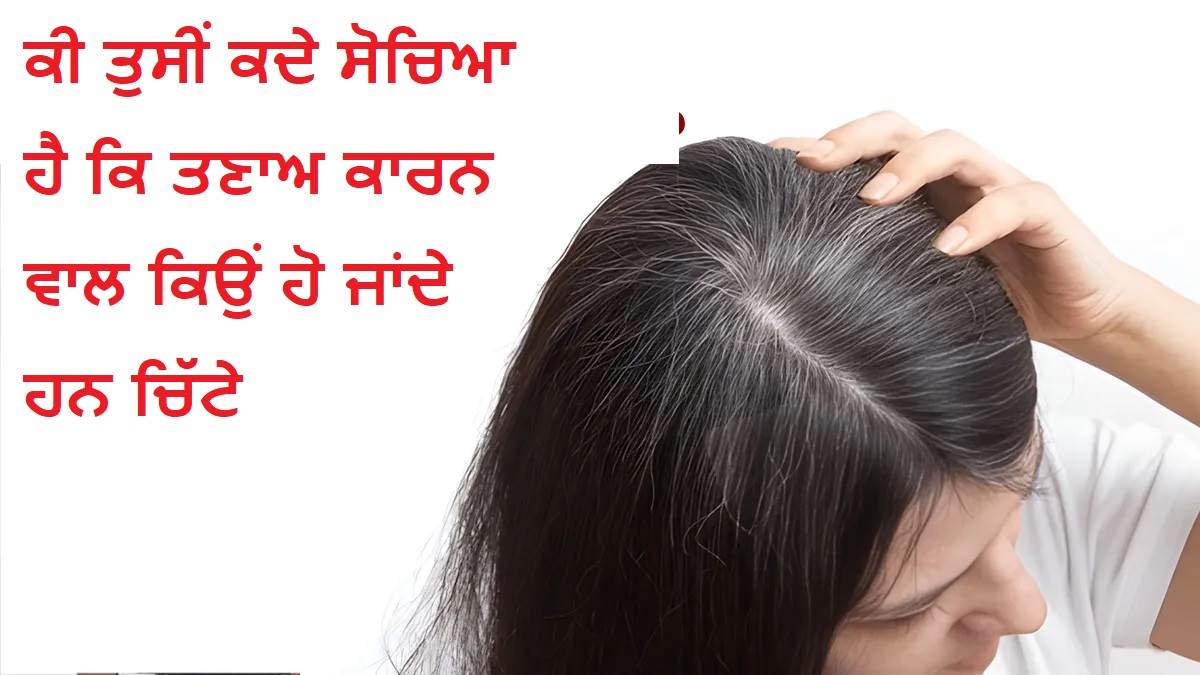 How Stress Turns Hair Gray : ਕੀ ਤੁਸੀਂ ਕਦੇ ਸੋਚਿਆ ਹੈ ਕਿ ਤਣਾਅ ਕਾਰਨ ਵਾਲ ਕਿਉਂ ਹੋ ਜਾਂਦੇ ਹਨ ਚਿੱਟੇ?