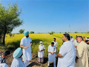 ਫ਼ਸਲ ਦਾ ਨੁਕਸਾਨ ਪੂਰੇ ਪਰਿਵਾਰ ਦੀ ਆਰਥਿਕਤਾ ਉੱਤੇ ਅਸਰ ਪਾਉਂਦਾ : ਡਿੰਪੀ ਢਿੱਲੋਂ