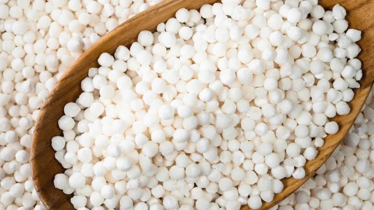 Sabudana Benefits: ਸਾਬੂਦਾਣਾ ਖਾਣ ਨਾਲ ਮਿਲਦੇ ਹਨ ਇਹ 6 ਜ਼ਬਰਦਸਤ ਫਾਇਦੇ, ਅੱਜ ਤੋਂ ਹੀ  ਡਾਈਟ 'ਚ ਕਰੋ ਸ਼ਾਮਲ