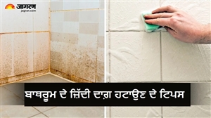 ਚਮਕ ਜਾਵੇਗਾ ਬਾਥਰੂਮ ਦਾ ਕੋਨਾ-ਕੋਨਾ; ਟਾਈਲਾਂ ਤੋਂ ਜ਼ਿੱਦੀ ਪੀਲੇ ਧੱਬੇ ਮਿੰਟਾਂ 'ਚ ਦੂਰ ਕਰ ਦੇਣਗੇ ਇਹ 5 ਟ੍ਰਿਕਸ
