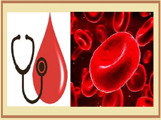 World Haemophilia Day 2021 : ਖ਼ੂਨ ਦਾ ਥੱਕਾ ਨਾ ਜੰਮਣਾ ਹੀ ਹੈ ਹੀਮੋਫੀਲੀਆ ਦੀ ਖਾਸ ਪਛਾਣ