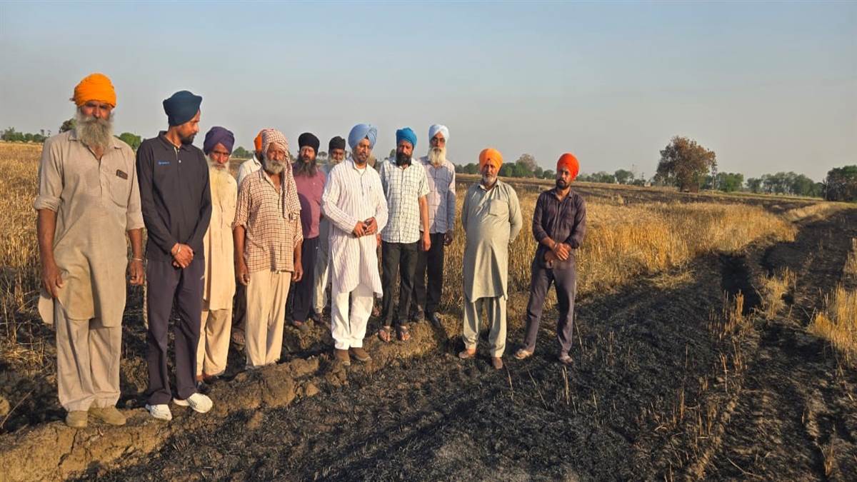 ਅੱਗ ਕਾਰਨ ਨੁਕਸਾਨੀ ਕਣਕ ਲਈ ਮੁਆਵਜ਼ੇ ਦੀ ਮੰਗ