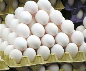 Egg Price Hike: ਭਿਆਨਕ ਗਰਮੀ 'ਚ ਆਂਡਾ ਵੀ ਦਿਖਾਉਣਾ ਲੱਗਾ ਤੇਵਰ; 12 ਦਿਨਾਂ 'ਚ 131 ਰੁਪਏ ਪ੍ਰਤੀ ਸੈਕੜੇ ਦਾ ਵਾਧਾ