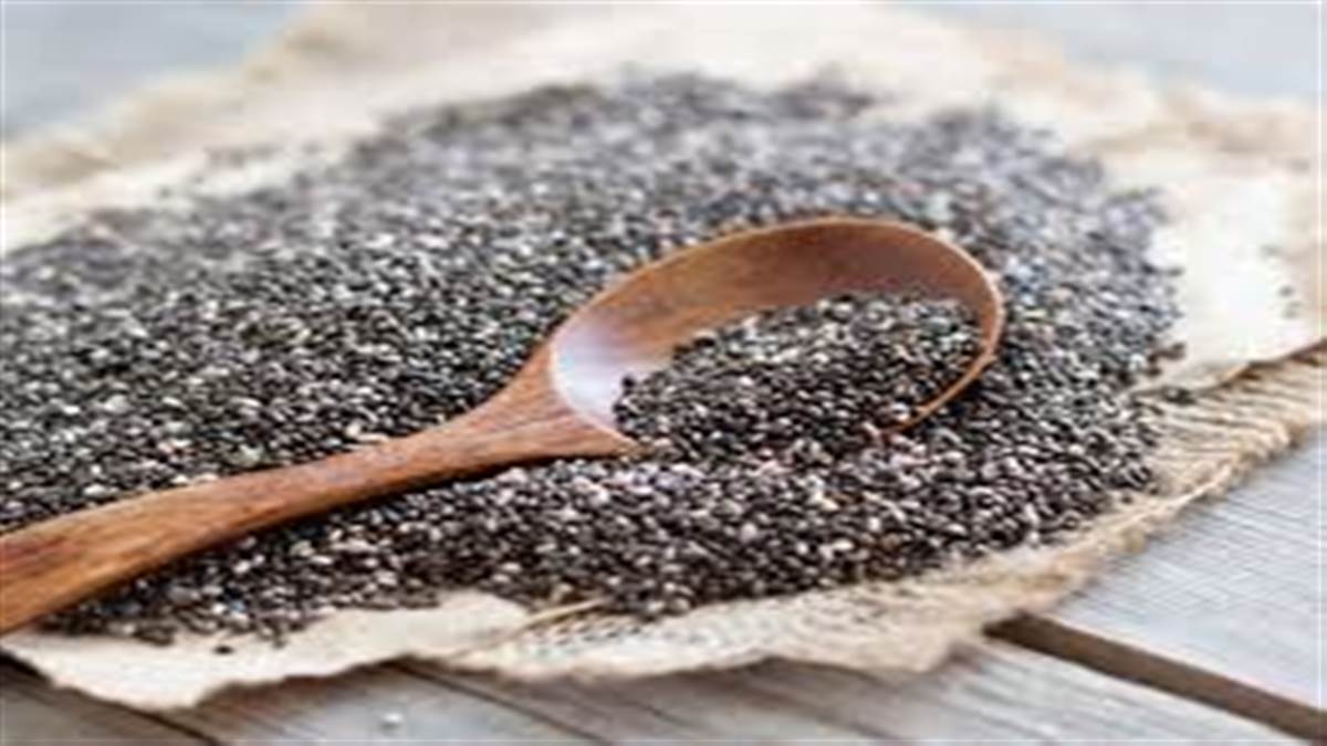 Blood Sugar ਨੂੰ ਕੰਟਰੋਲ ਕਰਨ ਦੇ ਨਾਲ- ਨਾਲ ਊਰਜਾ ਨਾਲ ਰਹਿਣਾ ਚਾਹੁੰਦੇ ਹੋ ਭਰਪੂਰ ਤਾਂ ਸਵੇਰੇ ਖਾਲੀ ਪੇਟ ਖਾਓ Chia Seeds