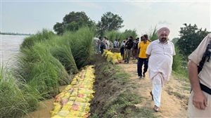 ਹੜ੍ਹਾਂ ਦੀ ਲਪੇਟ ’ਚ ਆਏ ਸੱਤਲੁਜ ਦਰਿਆ ਦੇ ਕਈ ਪਿੰਡ, ਸੈਂਕੜੇ ਏਕੜ ਫ਼ਸਲ ਡੁੱਬੀ