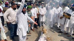 ਬਿਜਲੀ ਸੰਕਟ ਖ਼ਿਲਾਫ਼ ਅਕਾਲੀਆਂ ਨੇ ਲਾਇਆ ਧਰਨਾ