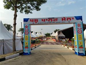 ਪੀਏਯੂ ’ਚ ਕਿਸਾਨ ਤੇ ਪਸ਼ੂ ਪਾਲਣ ਮੇਲਾ ਅੱਜ, ਤਿਆਰੀਆਂ ਮੁਕੰਮਲ