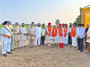 ਪ੍ਰਧਾਨ ਮੰਤਰੀ ਦੇ ਜਨਮ ਦਿਨ ਮੌਕੇ ਪਿੰਡਾਂ ’ਚ ਲਗਾਏ ਬੂਟੇ